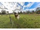 885 Winkleigh Road, Winkleigh TAS 7275