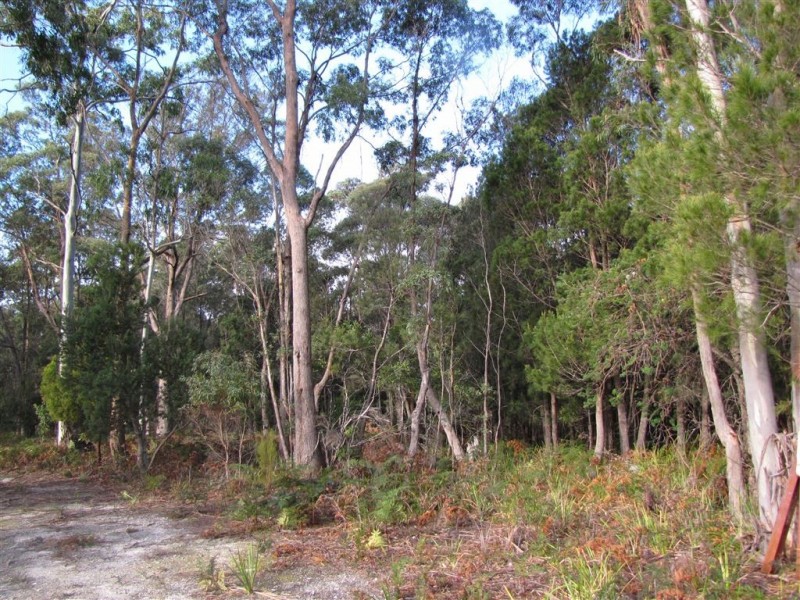 Lot 3 Greens Beach Road, York Town TAS 7270