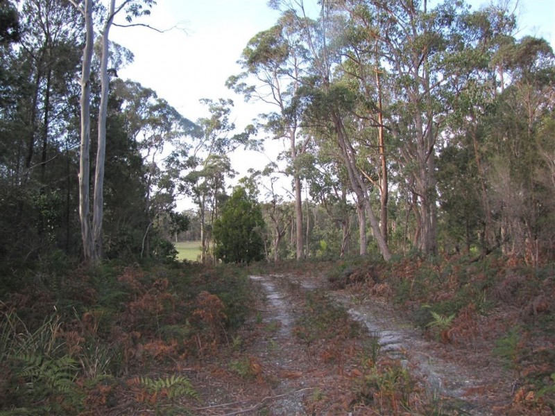 Lot 3 Greens Beach Road, York Town TAS 7270