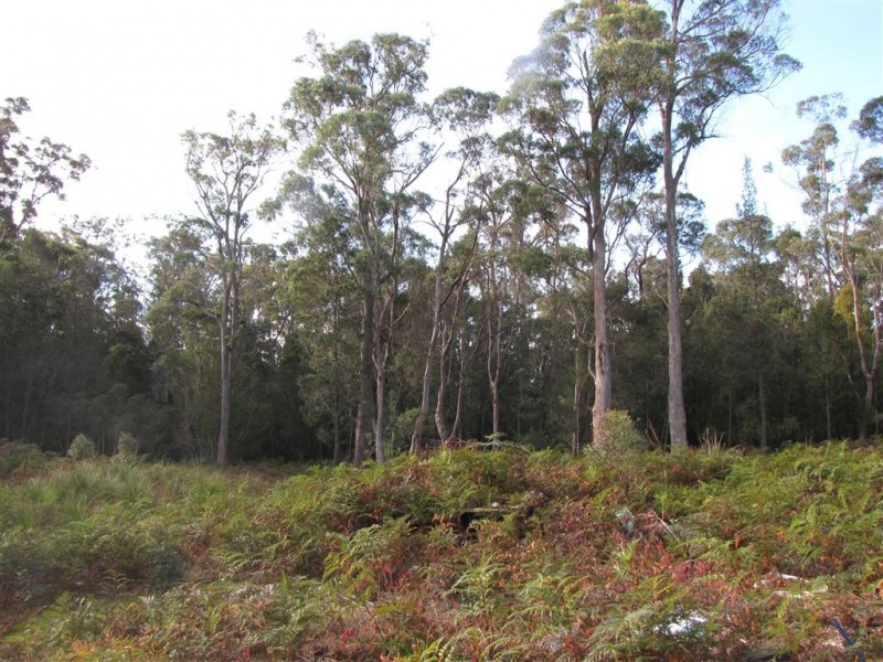 Lot 3 Greens Beach Road, York Town TAS 7270