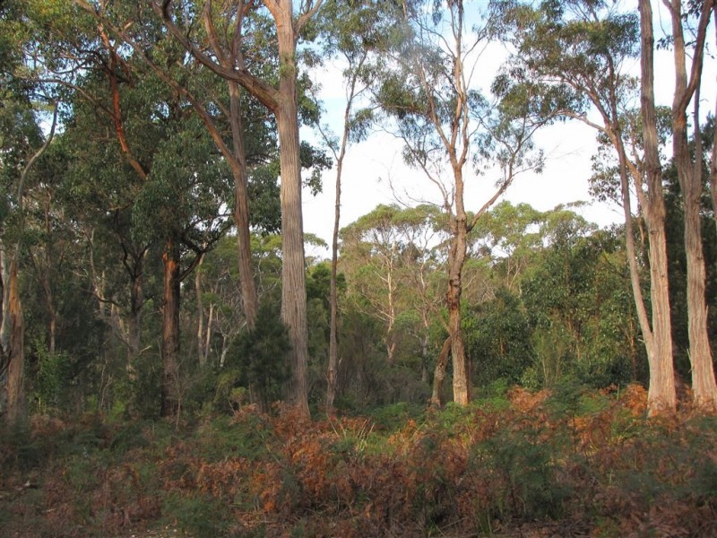 Lot 3 Greens Beach Road, York Town TAS 7270