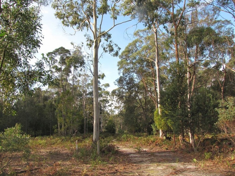 Lot 3 Greens Beach Road, York Town TAS 7270