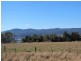 39 Annears Road, Blackwall TAS 7275