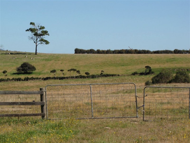 Lot 2 Rowella Road, Rowella TAS 7270