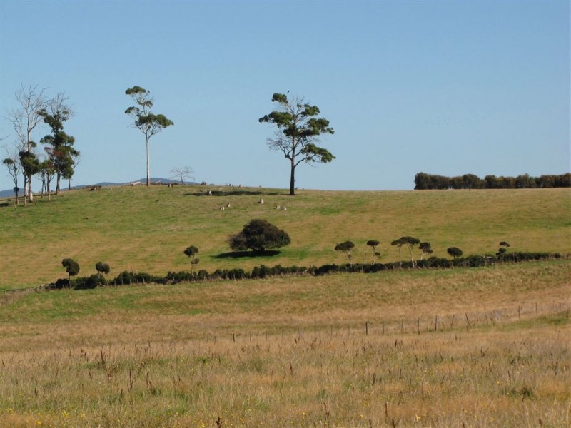 Lot 2 Rowella Road, Rowella TAS 7270
