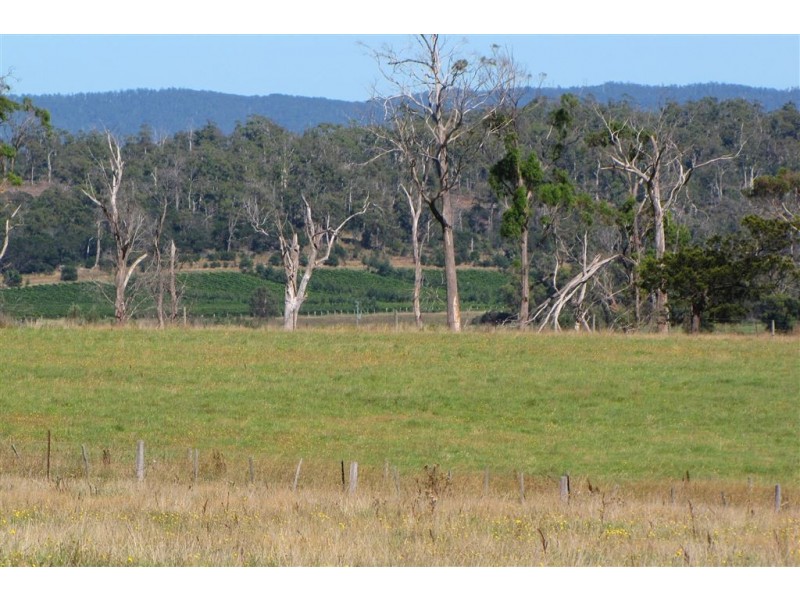 Lot 2 Rowella Road, Rowella TAS 7270