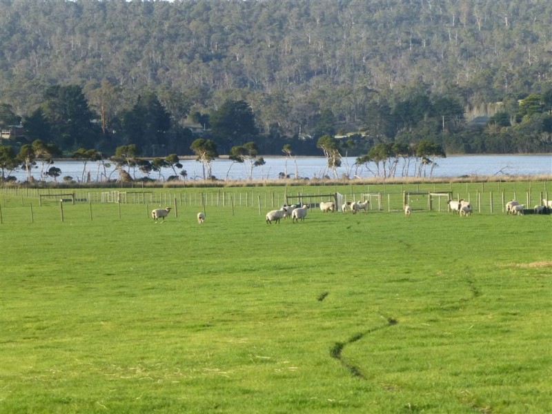 Lot 1 Nobelius Drive, Legana TAS 7277