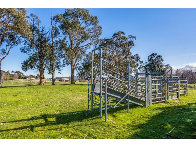 Lot 1 Nobelius Drive, Legana TAS 7277