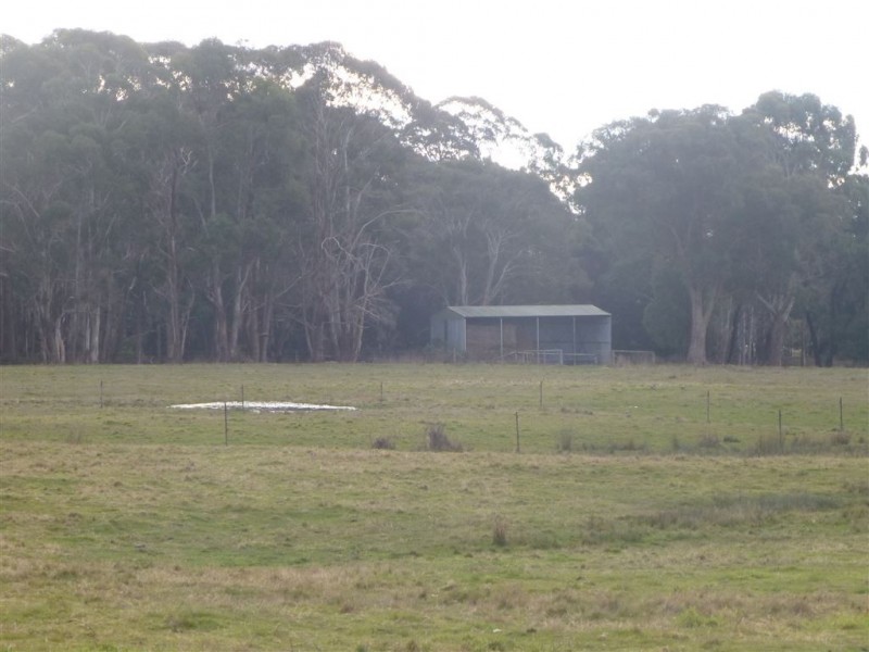 51 Calverts Lane, Gravelly Beach TAS 7276