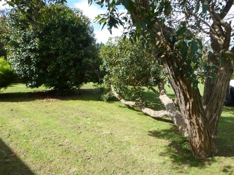 409 Gravelly Beach Road, Gravelly Beach TAS 7276