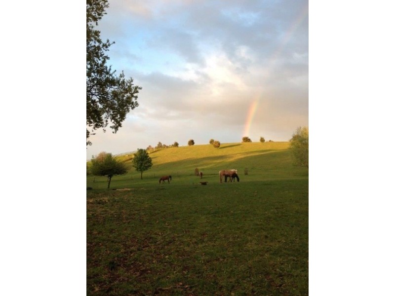 362 Hillwood Road, Hillwood TAS 7252