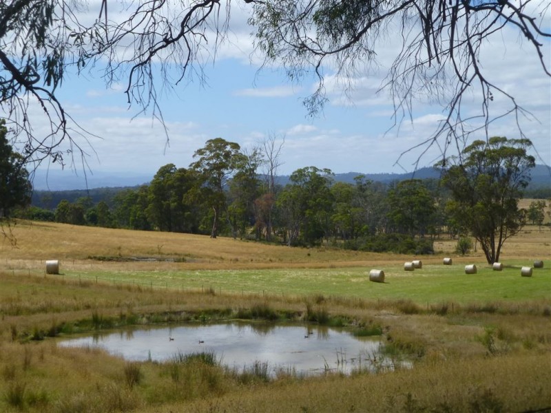 Land Jarmans Road, Winkleigh TAS 7275