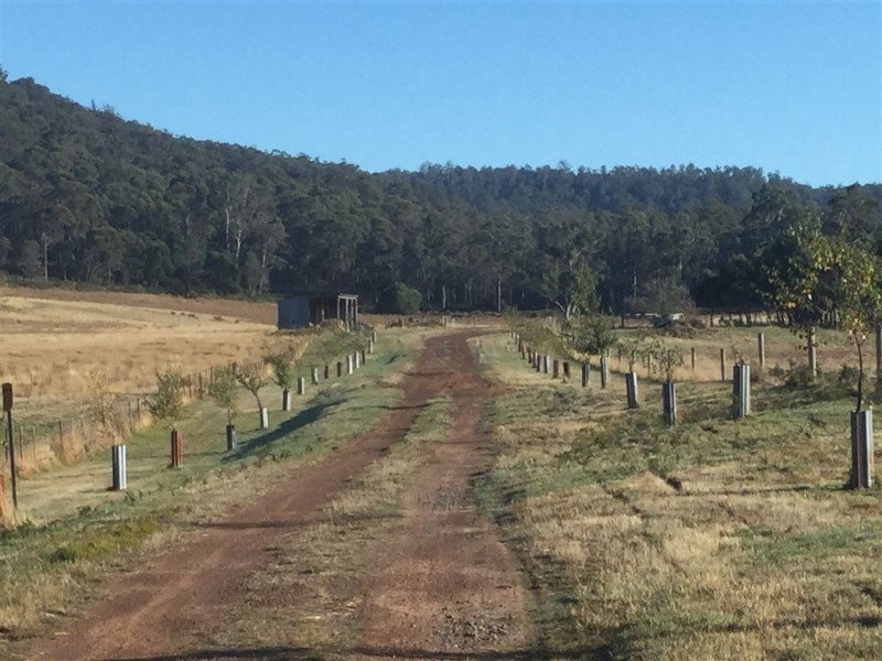 1002 Bridgenorth Road, Bridgenorth TAS 7277