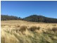 1002 Bridgenorth Road, Bridgenorth TAS 7277