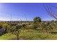 45 Payne Street, Beaconsfield TAS 7270