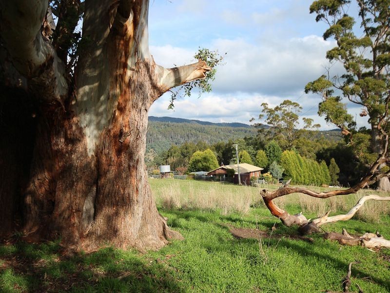 65 Staubi Road, Lilydale TAS 7268