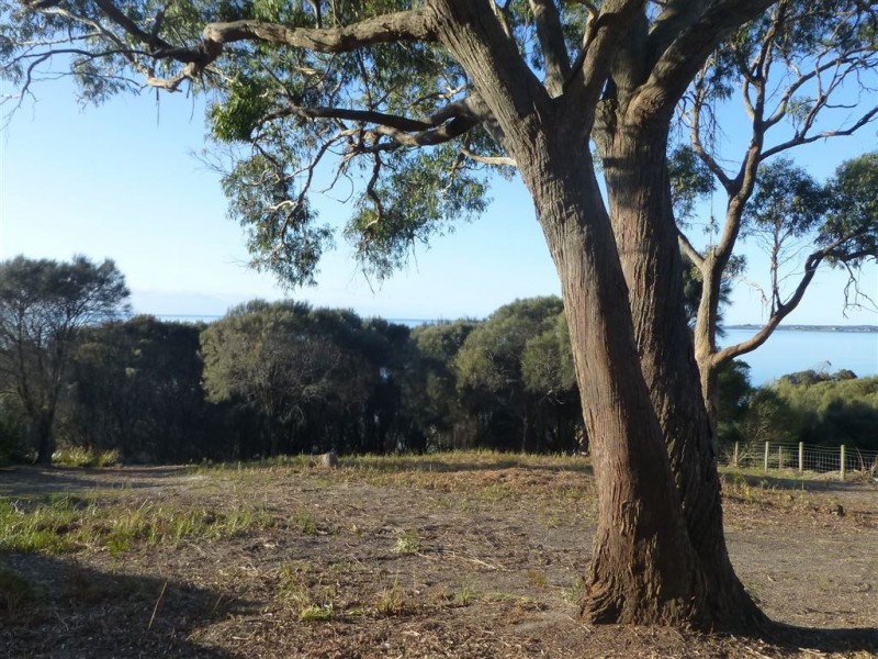 183 Gardners Road, Greens Beach TAS 7270