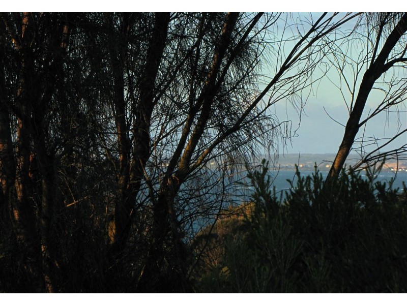 20 Pars Road, Greens Beach TAS 7270