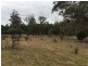 1407 Holwell Road, Holwell TAS 7275