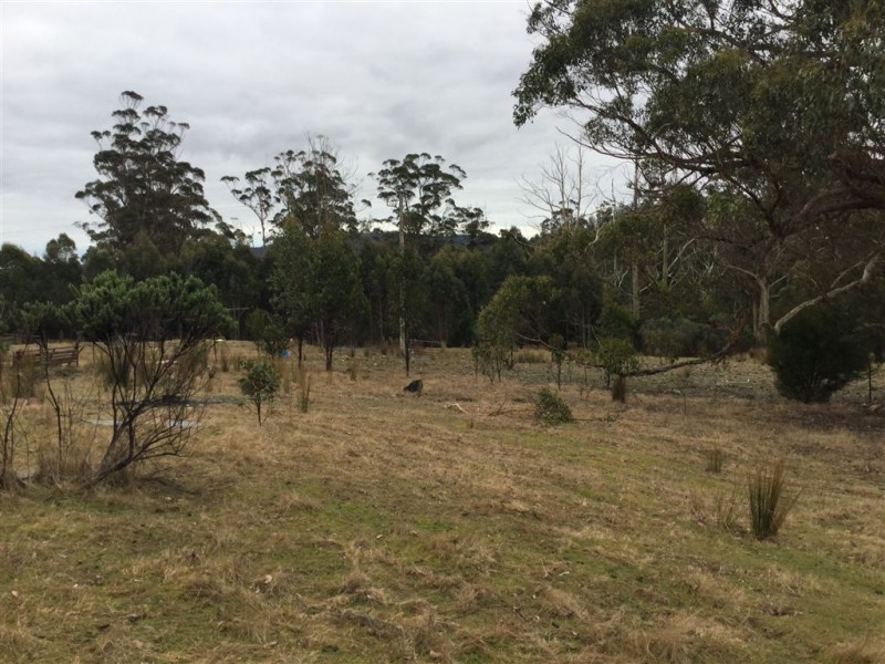 1407 Holwell Road, Holwell TAS 7275