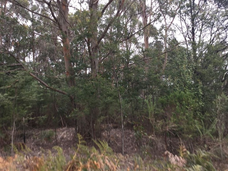 1407 Holwell Road, Holwell TAS 7275