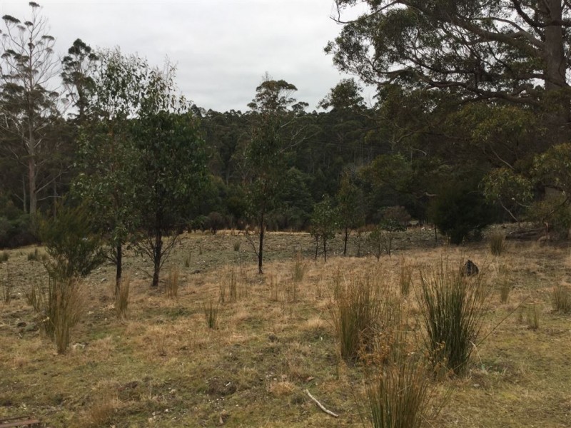 1407 Holwell Road, Holwell TAS 7275