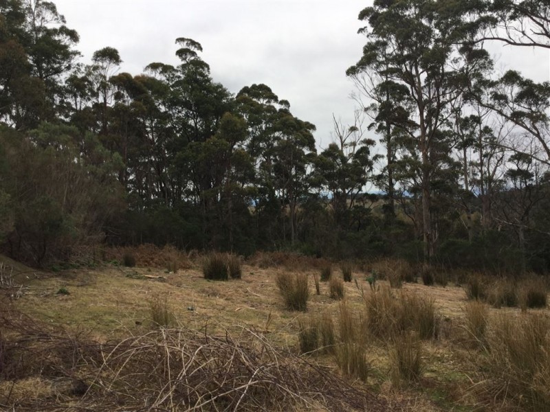 1407 Holwell Road, Holwell TAS 7275