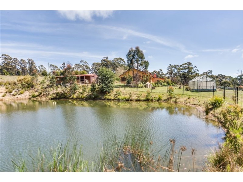 49 Yelton View Road, Notley Hills TAS 7275