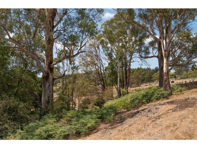 8 Mountain View Crescent, Grindelwald TAS 7277