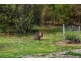 4434 West Tamar Highway, Beauty Point TAS 7270