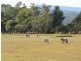 520 Gravelly Beach Road, Gravelly Beach TAS 7276