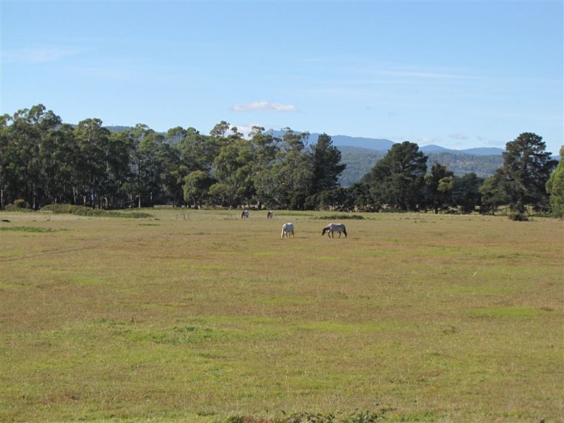 520 Gravelly Beach Road, Gravelly Beach TAS 7276