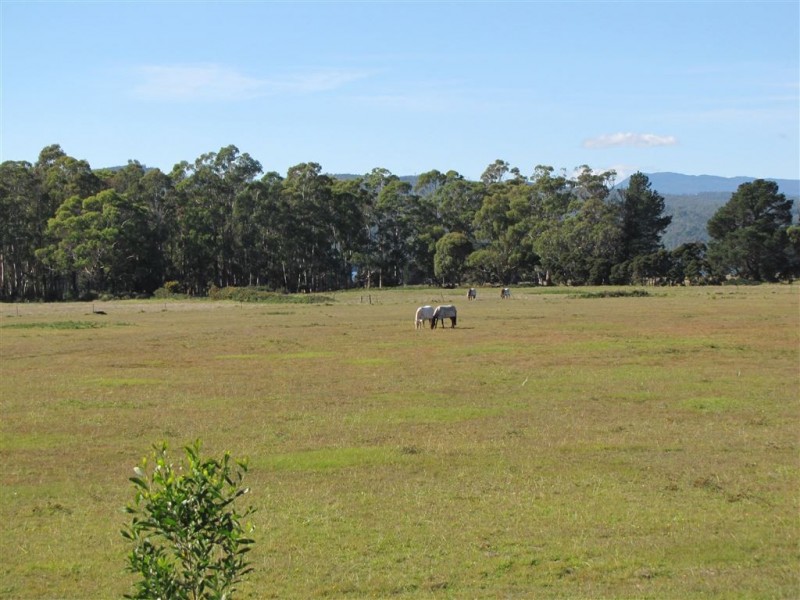 520 Gravelly Beach Road, Gravelly Beach TAS 7276