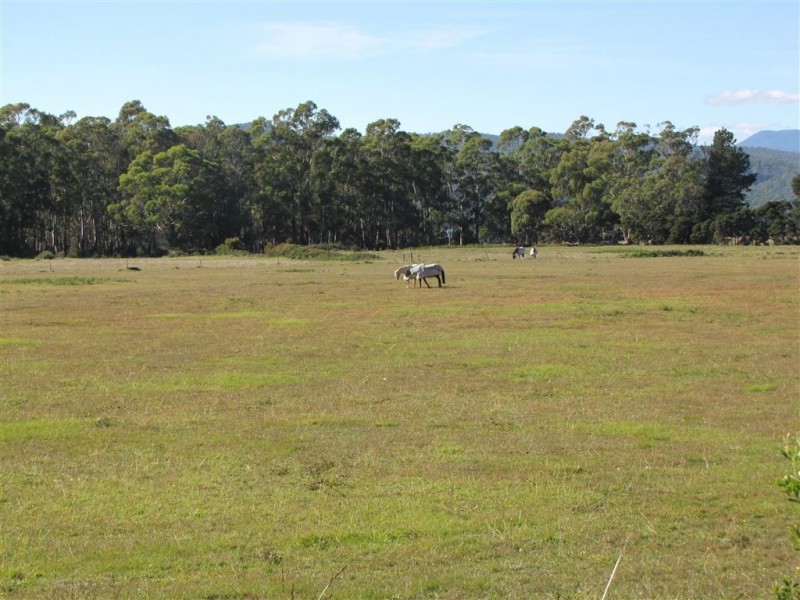 520 Gravelly Beach Road, Gravelly Beach TAS 7276