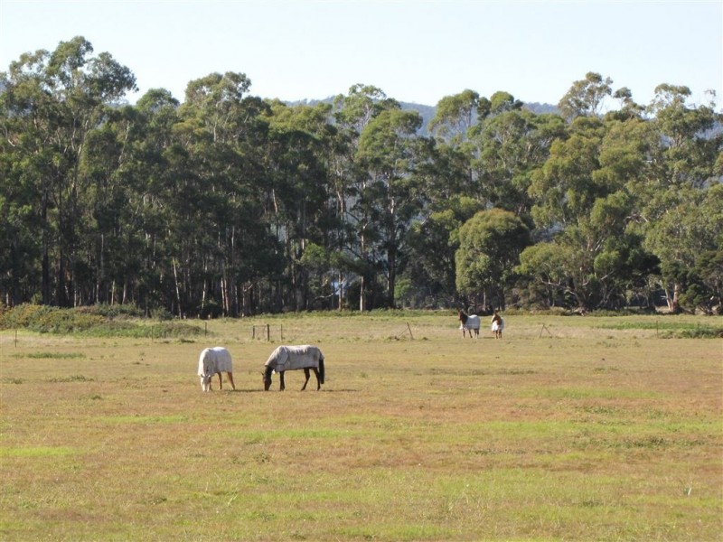 520 Gravelly Beach Road, Gravelly Beach TAS 7276