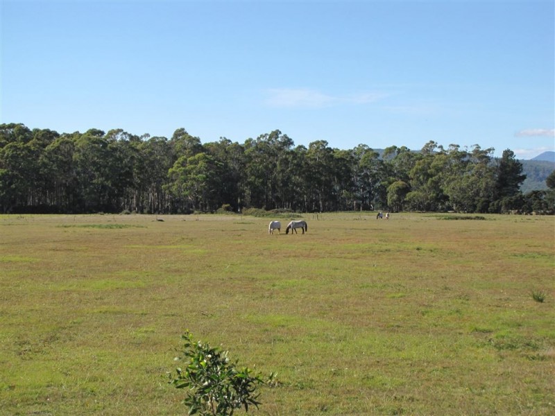 520 Gravelly Beach Road, Gravelly Beach TAS 7276