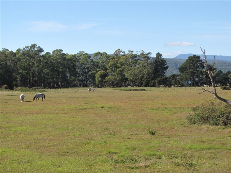 520 Gravelly Beach Road, Gravelly Beach TAS 7276