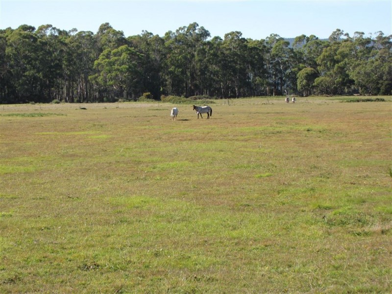 520 Gravelly Beach Road, Gravelly Beach TAS 7276