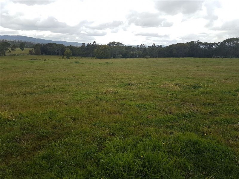 550 Rowella Road, Rowella TAS 7270