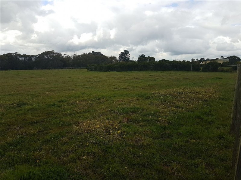 550 Rowella Road, Rowella TAS 7270