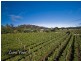 3191 West Tamar Highway, Sidmouth TAS 7270