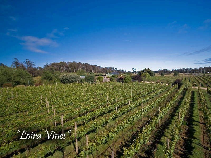 3191 West Tamar Highway, Sidmouth TAS 7270