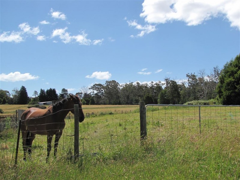 265 Weld Street, Beaconsfield TAS 7270