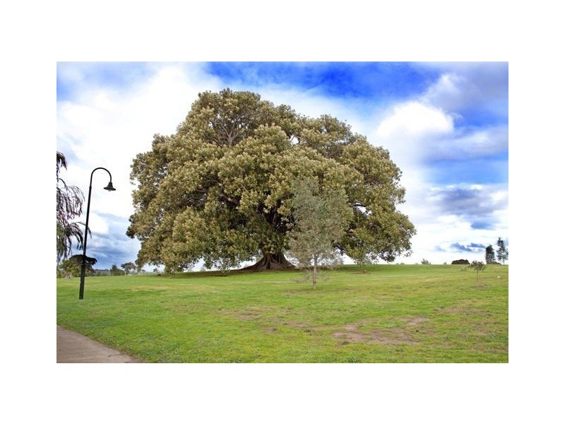 7 Figtree Walk, Lyndhurst VIC 3975