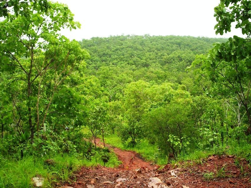 930 Chinner Road, Lake Bennett NT 0822