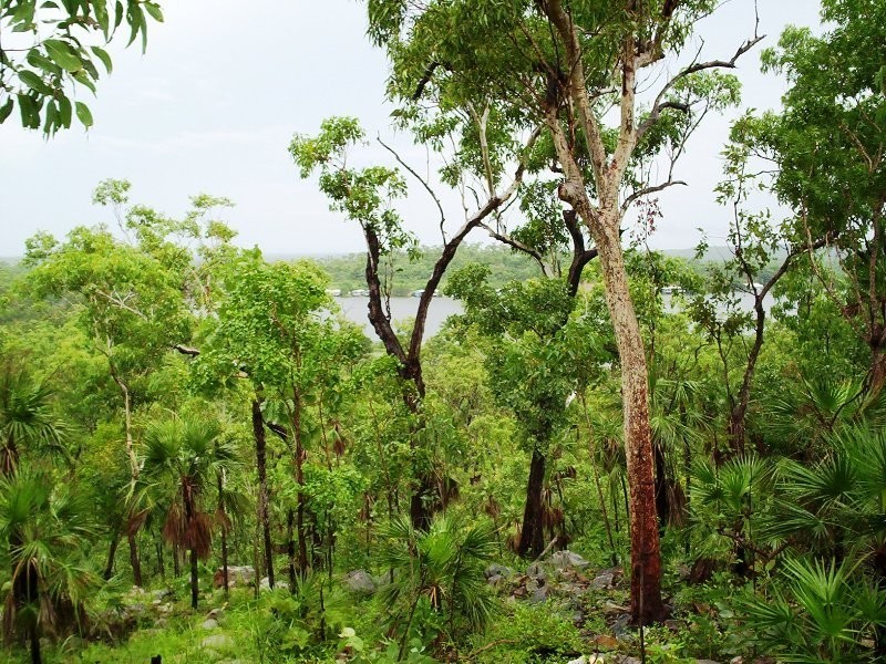 930 Chinner Road, Lake Bennett NT 0822