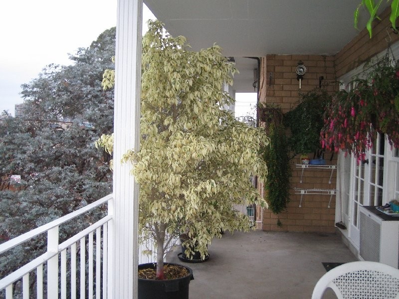 7/17 Villiers Street, Parramatta NSW 2150