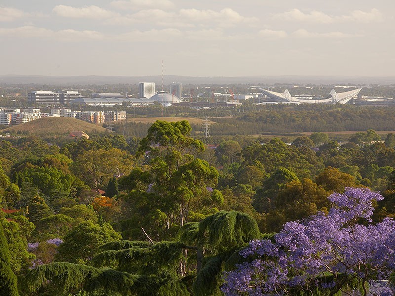 68 Trelawney Street, Eastwood NSW 2122