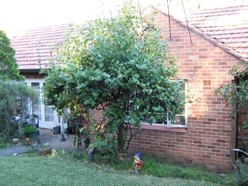 15 Sluman Street, Denistone West NSW 2114