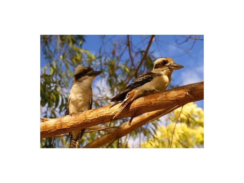 Agnes Water QLD 4677